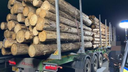 Bild: Verkehrspolizeiinspektion Hof/exb
Die Kontrollgruppe Schwerverkehr der Verkehrspolizei Hof führte im Bereich des Parkplatzes Peuntbach an der Autobahn A93 bei Marktredwitz eine Sonderkontrolle durch. Dabei konnten die eingesetzten Streifenbesatzungen mehrere Verstöße aufdecken.