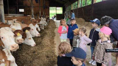 Bild: Vanessa Rosner/exb
Viel Interessantes gab es auf dem Bauernhof der Familie Rosner in Kondrau zu entdecken.