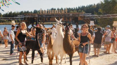 Bild: Naturraum e.V./exb
Am Wochenende findet wieder das beliebte "Naturraum Open Air" am Fichtelsee statt. Neben dem Kreativmarkt, können die Besucher auch an verschiedenen Aktivitäten teilnehmen, etwa, wie im vergangenen Jahr, einen Spaziergang mit Alpakas.