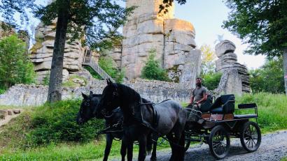 Bild: Thomas Engelhardt/exb
Seit 2023 gibt es bei „Bio erleben“ einen Kutschen-Samstag: Hier ist die Kutsche vor der Burgruine Weißenstein im Steinwald zu sehen.