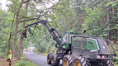Bild: Bayerische Staatsforsten
Große Harvester bearbeiteten durch Trockenheit, Pilz- und Schädlingsbefall beeinträchtigte Bäume.