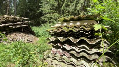 Bild: upl
Sondermüll, von Pflanzen überwuchert, im Wald: Mehr als 40 Eternitplatten hat der Grundstücksbesitzer hier gelagert.