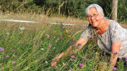 Bild: Portner
Der Traum für eine Kräuterfachfrau: Monika Ermer freut sich über die blühenden Wildkräuter am Wegesrand bei Winklarn.