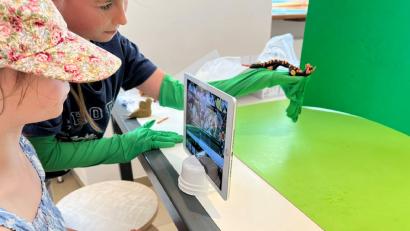 Bild: Irene Fritz/exb
Mittels Tablet und Green Screen lassen die Schülerinnen Ronja Mühlbauer und Sophia Mühlbauer Tiere durch die Weidener Altstadt spazieren.