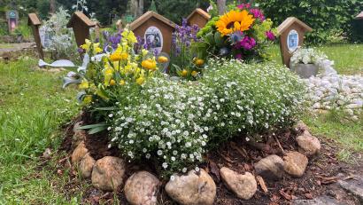 Bild: Schönhofen
Die Gräber auf dem Tierfriedhof in Weiden sind ähnlich gepflegt wir auf einem Friedhof für Menschen, die Haustierbesitzer kümmern sich augenscheinlich sehr.