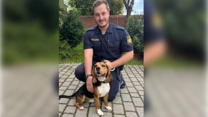 Bild: Polizeiinspektion Amberg
Diesen Beagle haben Beamte der Polizeiinspektion Amberg in Hirschau aus einem aufgeheizten Auto befreit.