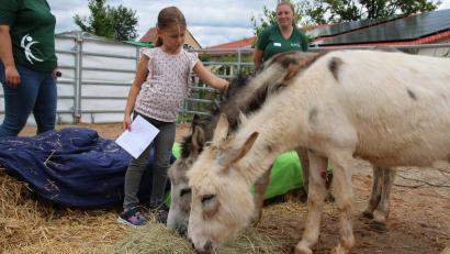 Bild: sne
Die Kinder freuen sich besonders über die Esel Fridolin und Luigi.