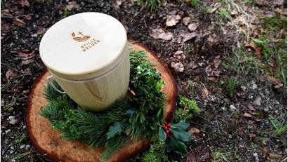 Symbolbild: Angelika Warmuth/dpa
In einem Friedwald (Symbolbild) sind Urnenbestattungen unter Bäumen möglich.