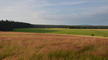 Bild: ak
Der Planungsausschuss des Regionalen Planungsverbandes hat die Fläche des von der Gemeinde Speichersdorf gemeldeten Windenergievorranggebiets Steinkreuz (Bild) auf rund 220 Hektar reduziert.