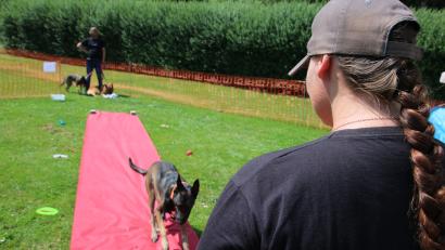 Bild: sne
Der Hund muss am Ende des Teppichs warten und durfte erst auf Kommando zu seinem Besitzer kommen.