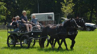Archivbild: dob
Beim Verein der Pferdefreunde im Grenzland Vohenstrauß können die Teilnehmer an Mariä Himmelfahrt auf der Wiese neben dem Fußballplatz in Altenstadt/Voh. auch eine Kutschenfahrt unternehmen.