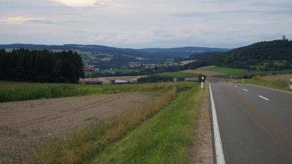 Bild: wel
Links der Straße, die von Sallach nach Niedermurach führt, ist der Solarpark Sallach II geplant.