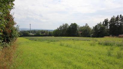 Bild: kro
Blick aus Richtung der Sternwarte auf das neue Baugebiet. Rechts verläuft der Lindenweg.
