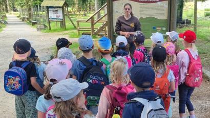Bild: Tanja Ruckdäschel/exb
Die Kinder erkundeten den Wildpark Mehlmeisel.