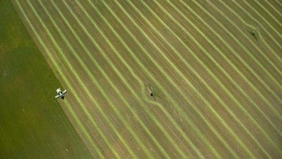 Symbolbild: Jens Büttner/dpa
Dank anhaltender Niederschläge rechnen Oberpfälzer Landwirte mit guten Ernten bei Gras und Mais.