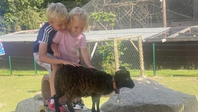 Bild: gis
Der Wildpark Mehlmeisel feierte zehntes Jubiläum. Der Streichelzoo kommt besonders bei Kindern gut an.