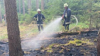 Bild: Feuerwehr/exb
Die Wald- und Flächenbrandgefahr im Landkreis Schwandorf ist derzeit „moderat hoch“, doch dies ändert sich zur Wochenmitte. Unvergessen ist das Waldbrandszenario vor einem Jahr, da mussten die Wehren an einem einzigen Tag in acht Orten zu Bränden ausrücken.