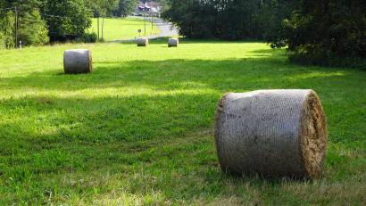 Bild: bkr
Rundballen markieren die ehemalige Deponie in der Tiefenlohe. Ihre Auswirkungen auf das Grundwasser sollen nun aufwendig über mehrere Jahre untersucht werden.