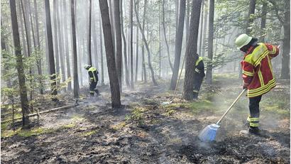 Bild: Grabinger
Die Feuerwehrleute versuchen zunächst den Brand mit Feuerpatschen in den Griff zu bekommen.