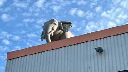 Bild: Gabi Schönberger
Der Knorr-Elefant ist zurück.