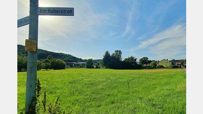 Bild: Hösamer
Auf dem freien Grundstück zwischen der Straße "Am Haberstroh" und dem Brünnlweg (Bebauung im Hintergrund) soll ein neues Wohngebiet entstehen. Das hat der Nabburger Stadtrat beschlossen.
