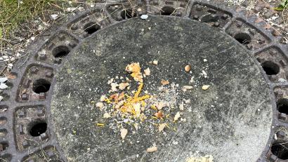 Bild: Polizeiinspektion Schwandorf/exb
In der Dietrich-Bonhoeffer-Straße wurden Essensreste ausgelegt.