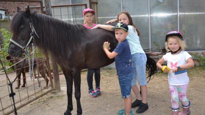 Archivbild: gi
Ein Nachmittag mit Pferden darf im Moosbacher Ferienprogramm nicht fehlen.