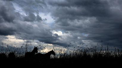 Symbolbild: Karl-Josef Hildenbrand/dpa
Der Wetterdienst warnt vor Gewittern in der Oberpfalz.