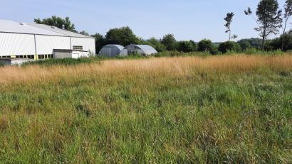 Bild: kro
Auf diesem Gelände an der Heisenbergstraße im Gewerbegebiet Ost im Süden der Kreisstadt soll der Interims-Kindergarten entstehen.