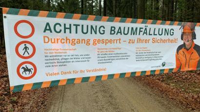 Symbolbild: ck
Wegen Baumfällarbeiten muss am Donnerstag der Triftweg in Amberg vorübergehend gesperrt werden.