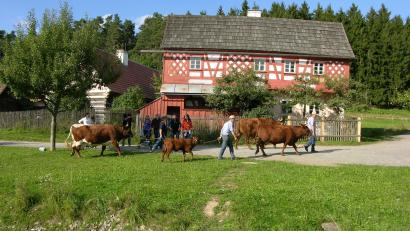 Bild: Freilandmuseum Oberpfalz
Das Freilandmuseum Oberpfalz bietet seinen Besuchern ein umfangreiches Ferienprogramm.