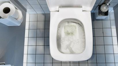 Bild: Ralf Hirschberger/dpa
WC-Bürste, Toilettenpapier und Papierhalter: Ein WC am Arbeitsplatz muss bestimmte Mindestanforderungen erfüllen.