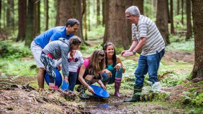 Bild: Thomas Kujat/Tourismuszentrum Oberpfälzer Wald/exb
Bei einer geführten Wanderung kann man sich selbst im Goldwaschen versuchen.