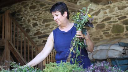 Bild: Eva Gröninger/exb
Rund um die Kräuterbuschen geht es am 15. August im Freilandmuseum Oberpfalz.