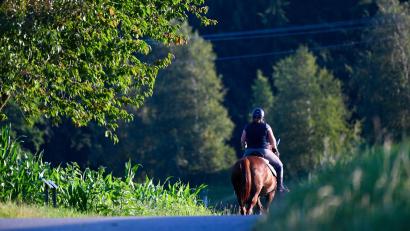 Bild: Felix Kästle/dpa
Eine Frau reitet auf ihrem Pferd durch eine hügelige Landschaft. Die Feuerwehr hat im Landkreis Rottal-Inn ein Pferd aus einem schlammigen Weiher befreit. (Symbolbild)