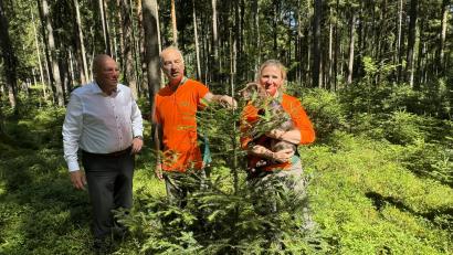 Bild: Matthias Bäumler/fph
Diese etwa zehn Jahre alte Tanne ist ein Zukunftsbaum im Stadtwald. Ihn begutachten (von links) Oberbürgermeister Oliver Weigel, Winfried Pfahler, der Leiter des Forstbetriebs Fichtelberg, und Förstern Katharina Bäcker.