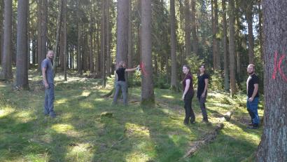 Bild: as
Das rot gesprühte K steht für Käferbaum. So geballt ist das Borkenkäfer-Team selten im Einsatz: Tobias Köstler, Sophie Schödel, Hannah Raab, Tanja Adam und Fabian Paulus (von links) in einem befallenen Waldstück in Godas bei Kemnath, wo der Schädling auf dem Kühberg schon ganze Arbeit geleistet hat.