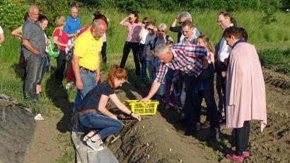 Bild: rdo
Die Teilnehmer durften selbst Hand anlegen und weißen Bleichspargel auf dem Feld stechen. Reinhard Brunner (im gelben T-Shirt) gab Tipps, wie man die Stange im Erdreich erntet.