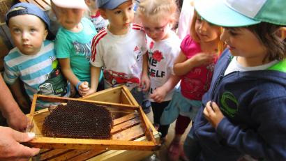 Bild: Jochen Neumann
Bienenwaben einmal ganz aus der Nähe sehen konnten die Buben und Mädchen des St. Elisabeth-kindergartens.