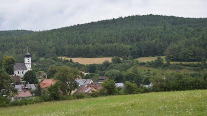Bild: bö
Der östlich von Ransbach gelegene Höhenrücken auf der anderen Seite des Lauterachtales soll auf Wunsch des Marktgemeinderats Hohenburg aus dem Windatlas des Regionalen Planungsverbandes Oberpfalz-Nord herausgenommen werden.