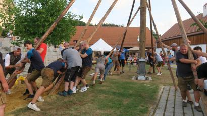 Bild: Hirsch
Mit dem Baumaufstellen auf dem Schlossbauernhof begann am Samstag die dreitägige Altfalterer Kirwa. Mit Muskelkraft und "Schwalben" stemmten die freiwilligen Helfer den 25 Meter langen Stamm nach oben.
