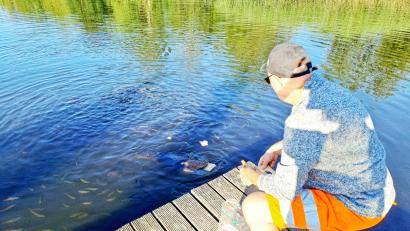 Bild: Brigitte Gschwendtner/fph
Waller-Flüsterer Helmut Steinkohl weiß, wie man „Oskar“ und seine Freunde am schnellsten aus ihrer Reserve unter dem Auenpark-Steg hervorlockt: mit Weißbrot.