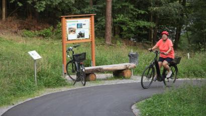 Bild: Hirsch
Der Rad- und Fußgängerweg "Hubmannsteig" führt in Serpentinen von der Schwefelquelle hinauf zum Schwandorfer Weinberg. Entlang der Strecke befinden sich Ruhebänke und Info-Tafeln, die auf die Bedeutung des Waldes als Klimaschützer und Holzlieferant hinweisen.