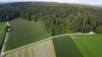 Archivbild: Gustl Beer
Der Weg auf den Fischerberg von Letzau aus. Hier gilt ein Durchfahrtsverbot für alle außer den anliegenden Landwirten und Waldbesitzern, Rettungsfahrzeugen sowie Mitarbeitern und Lieferanten der Strobelhütte – auch am kommenden Turmfest-Wochenende.