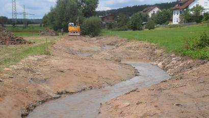 Bild: fz
In Schlangenlinien umgelegt wird das Bachbett des Gleitsbaches in Irchenrieth