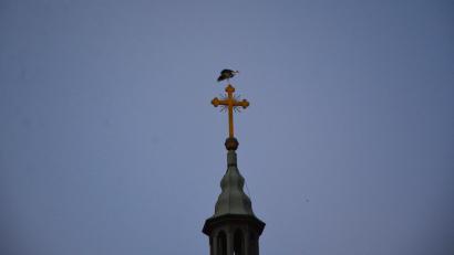Bild: jr
Ein Storch legte am Samstagabend auf der Turmspitze der Konnersreuther Pfarrkirche einen Stopp ein.