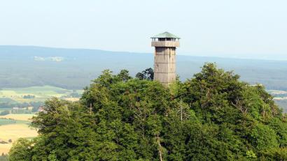 Bild: stg
Ein Schwarm fliegender Ameisen sorgte am Rauhen Kulm für einen Feuerwehr-Einsatz.