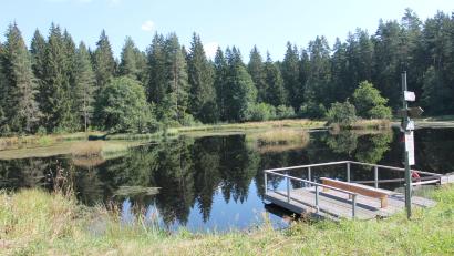 Bild: pi
Der "Sieben-Insel-Weiher" ist ein idyllisches Fleckchen und zählt laut dem Wanderwart zu den Höhepunkten der beschriebenen Tour.