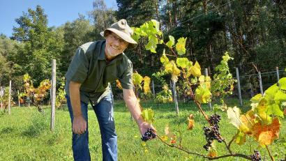 Bild: bl
Zusammen mit seinem Bruder und zwei Freunden hat Max Meier vor 25 Jahren mit dem Weinbau am Kulm bei Nabburg begonnen. Jetzt spürt er dort die Folgen des Klimawandels.