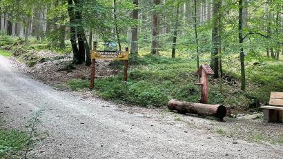 Bild: Josef Wiche/exb
Die Gemeinde Mehlmeisel und die Bayerische Staatsforstverwaltung haben vor 50 Jahren den Moosknockbrunnen sowie dessen Umfeld anlegen lassen.